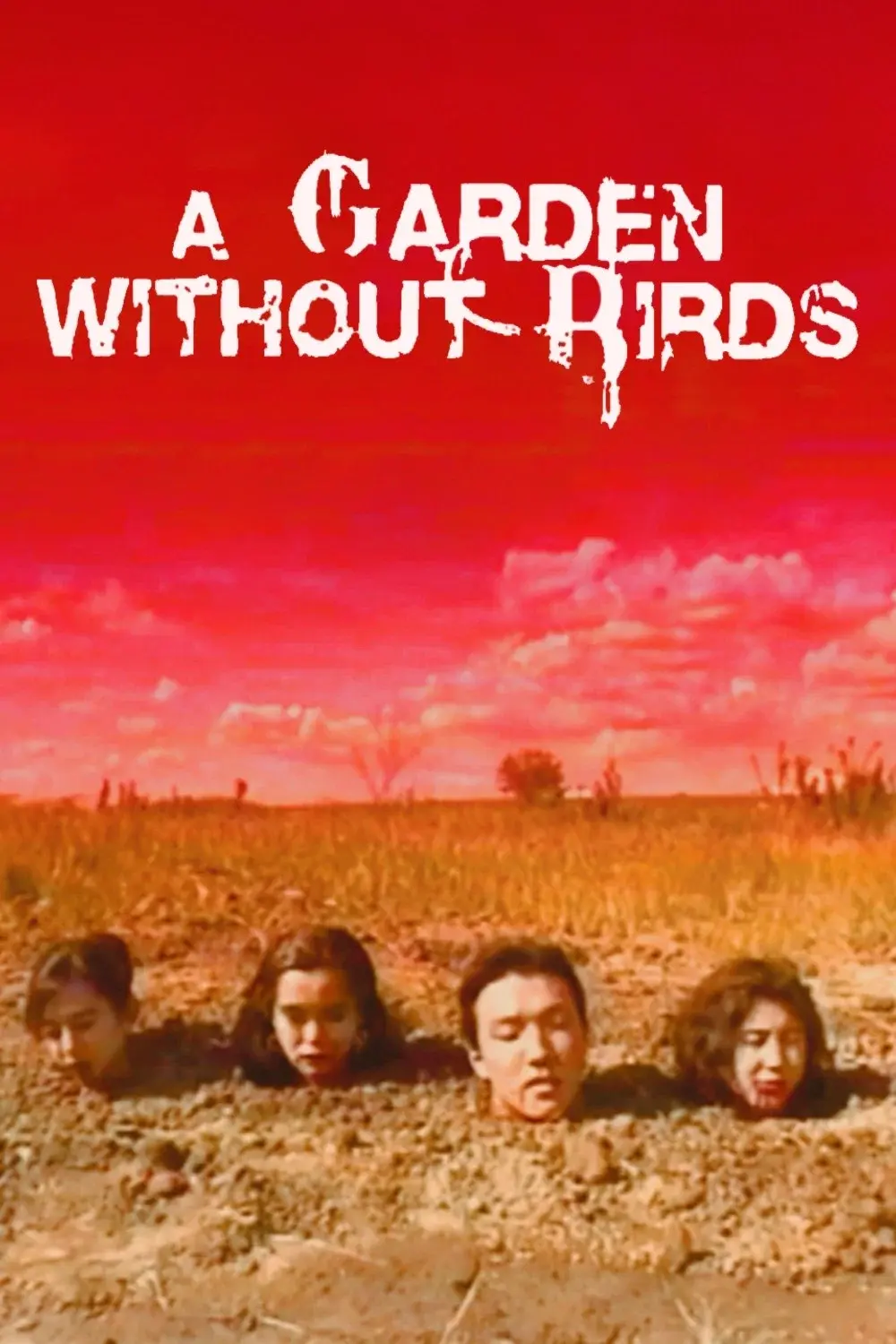 A Garden Without Birds