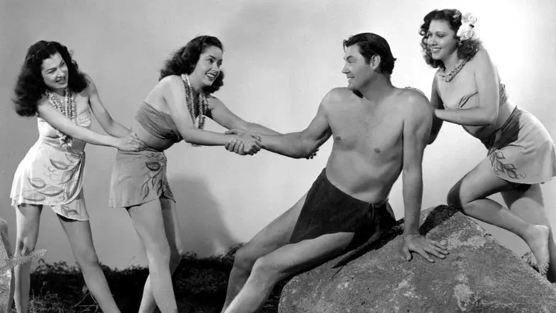 Backdrop 3