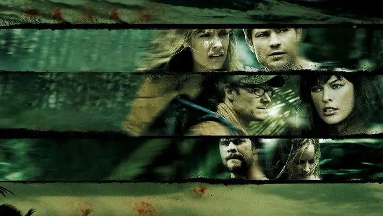 Backdrop 4