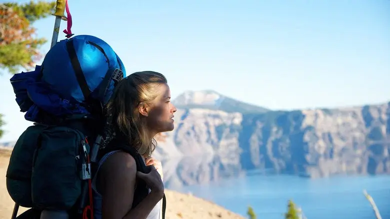Backdrop 5