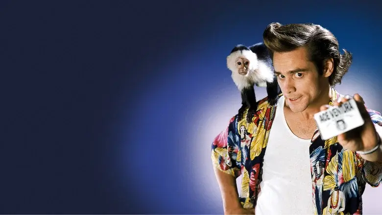 Backdrop 4