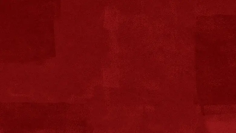 Backdrop 6