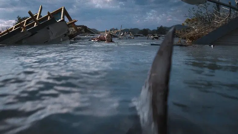 Backdrop 6