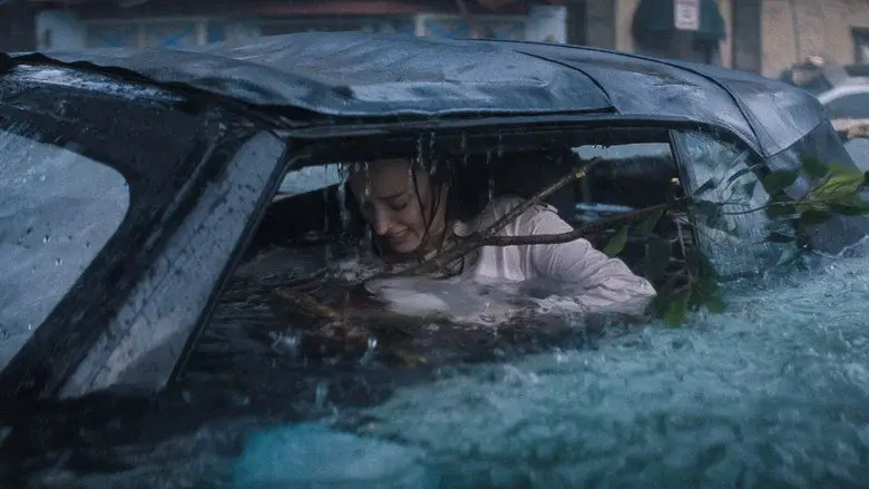 Backdrop 4