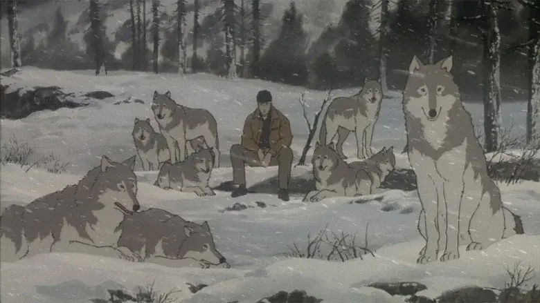 Backdrop 6