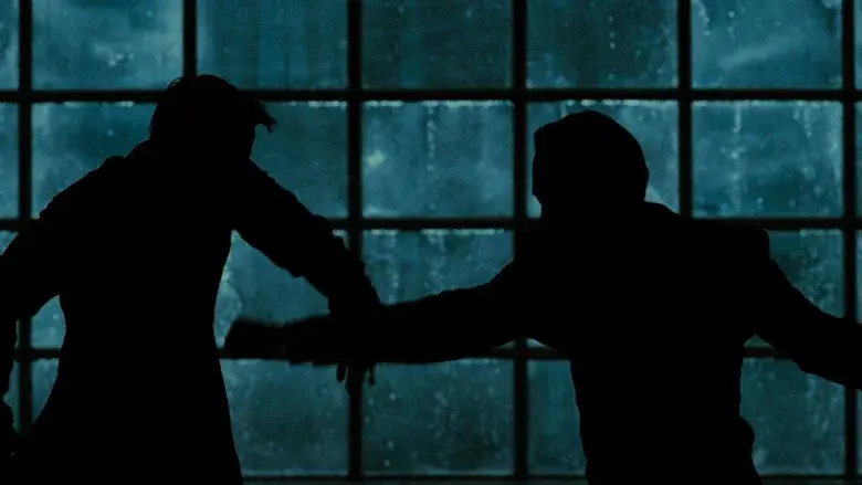 Backdrop 5