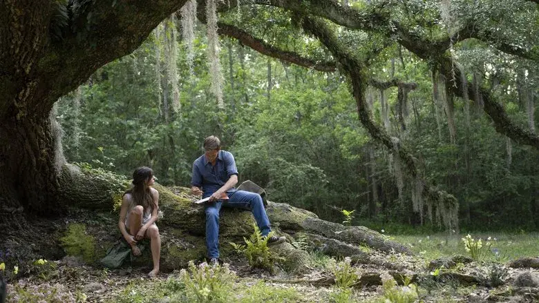 Backdrop 5
