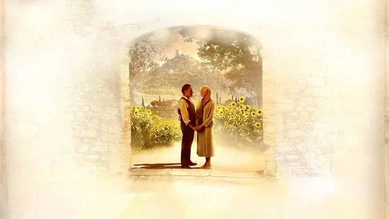 Backdrop 3
