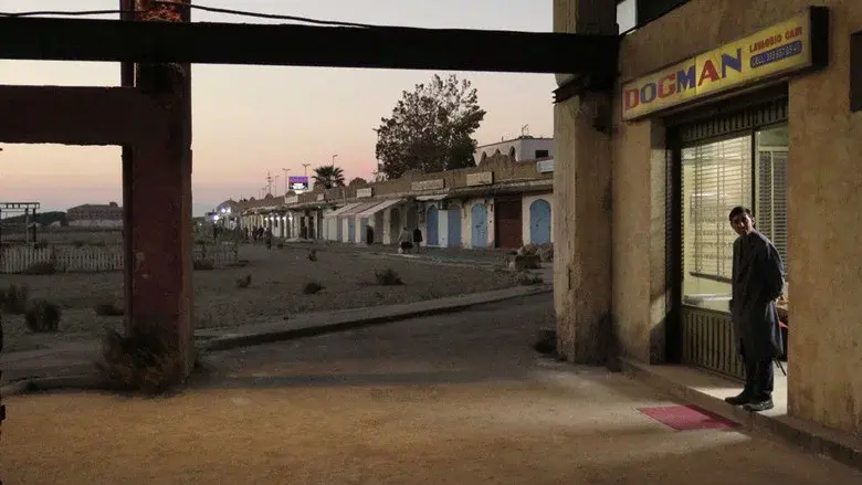 Backdrop 2