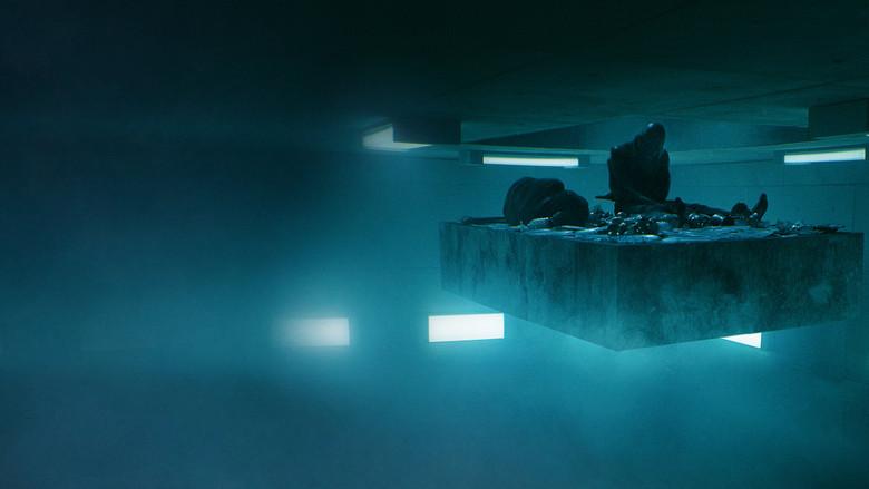 Backdrop 4