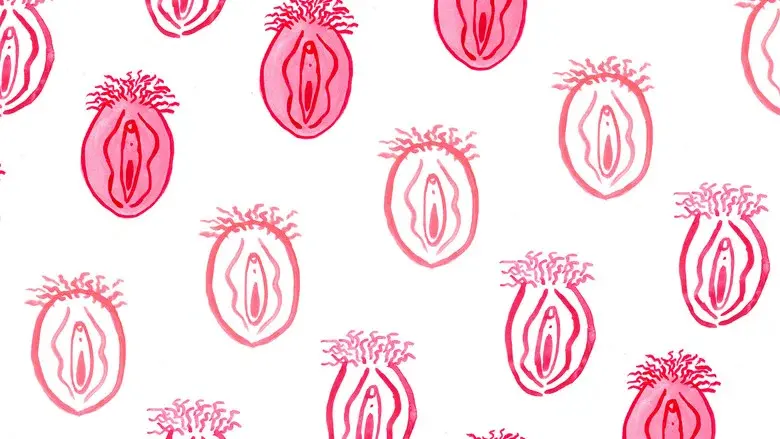 Backdrop 2