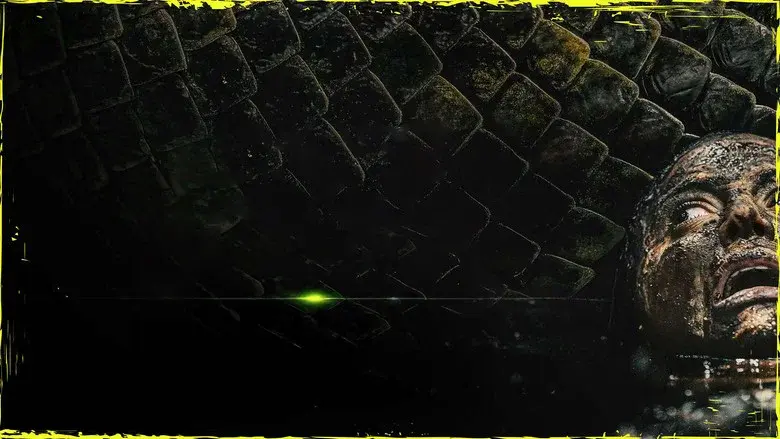 Backdrop 5