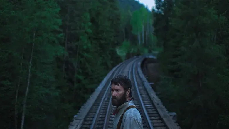 Backdrop 4