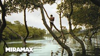 Looking for Paradise