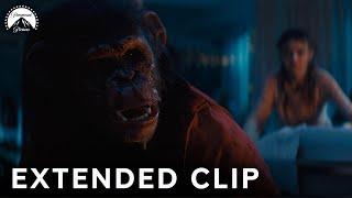 Extended Clip