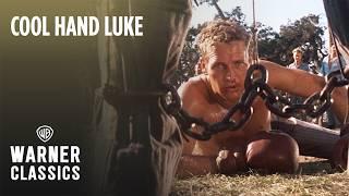 Luke Boxes Dragline