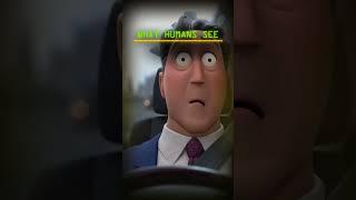 what animals see vs what humans see