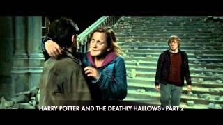 Harry Potter is the Final Horcrux