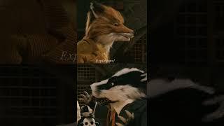 Foxes, assemble.