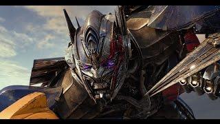 International Trailer