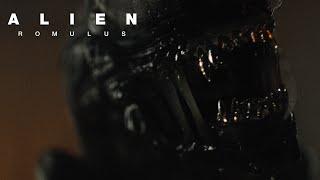 Now Streaming On Hulu and Hulu on Disney+