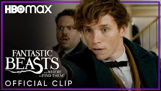 Newt Scamander Catches the Niffler