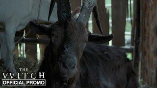 Black Phillip - Official Promo