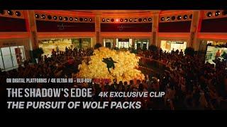 The Pursuit of Wolf Packs