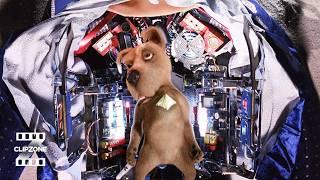 Unmasking Scrappy Doo