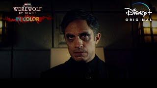 Werewolf by Night in Color - Now Streaming