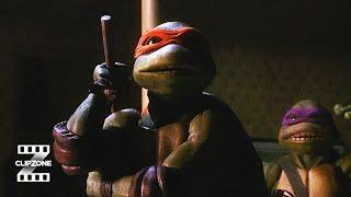 A Turtle Showdown