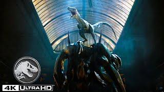 Indoraptor vs Blue in 4k HDR
