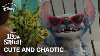 Cute and Chaotic